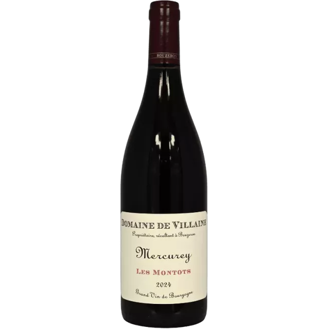 Mercurey Les Montots 2024 | Domaine de Villaine