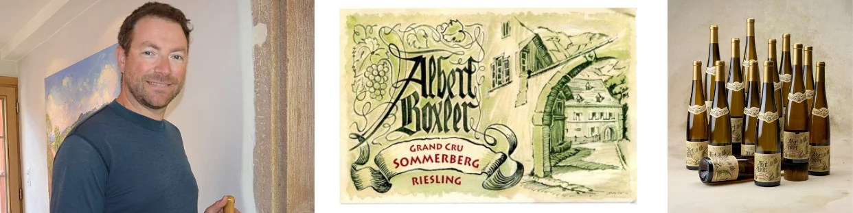 Domaine Albert Boxler - Des Grands Vins de terroir d'Alsace - Mundovin