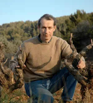 Domaine de Terrebrune - Bandol d'eccellenza
