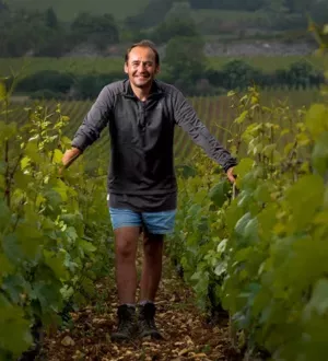 Tenuta Michel Bouzereau e Figli a Meursault - Mundovin