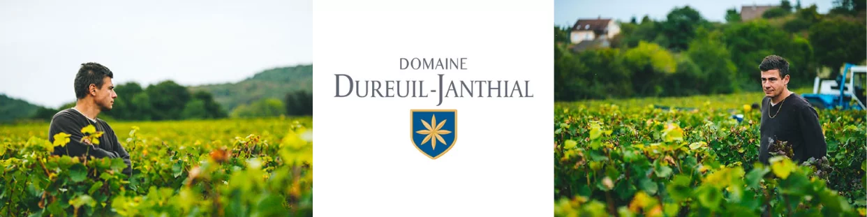 Domaine Vincent Dureuil-Janthial - Des Rully d'exception - Mundovin