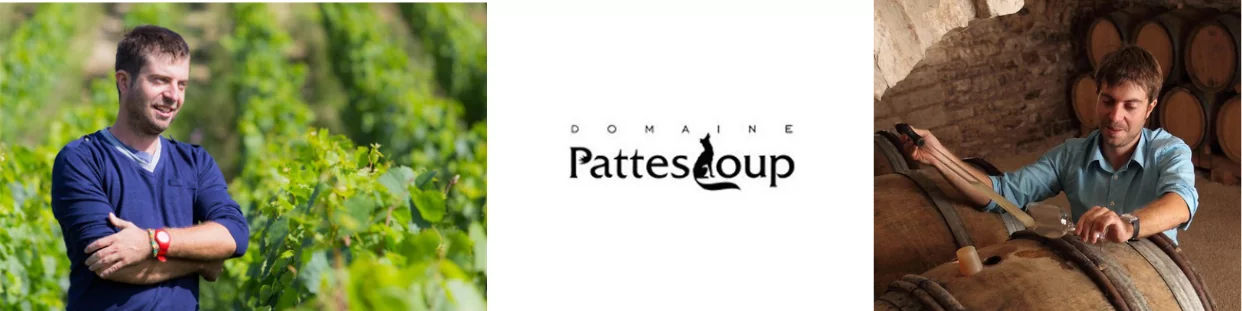 Domaine Pattes Loup - Thomas Pico - Le Chablis - Mundovin