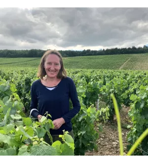 Tenuta Moreau-Naudet