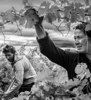 Tenuta L'Austral