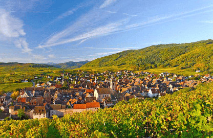 Riesling grand cru