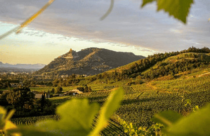 Vini del Rodano a meno di 50 €